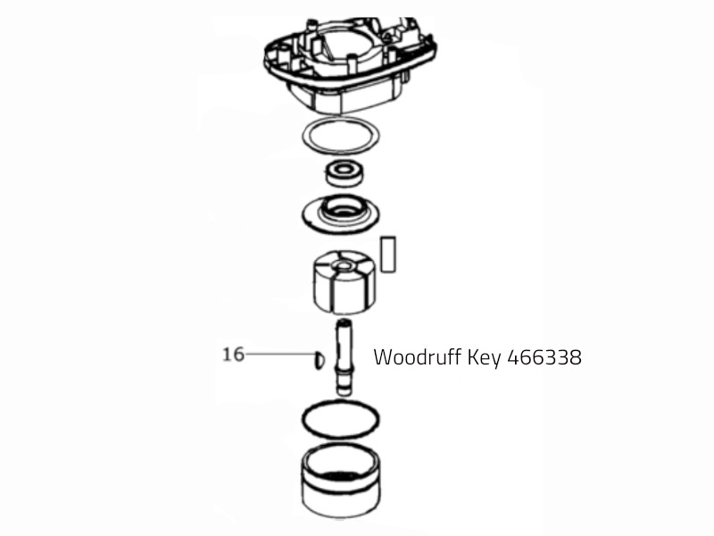 Woodruff Raktas 466338